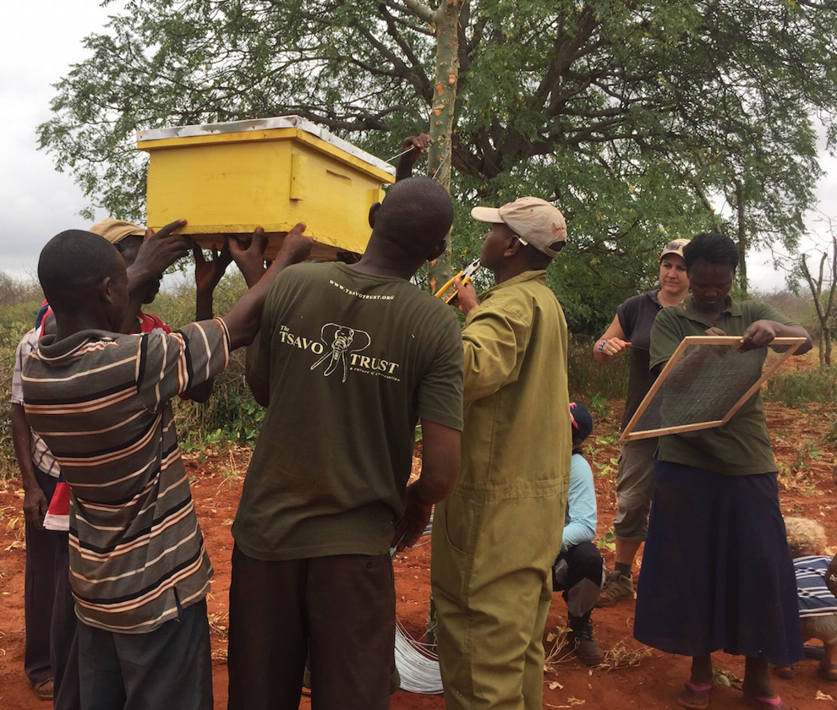 tsavo-trust-beehive-fence-pilot-project-fence-construction