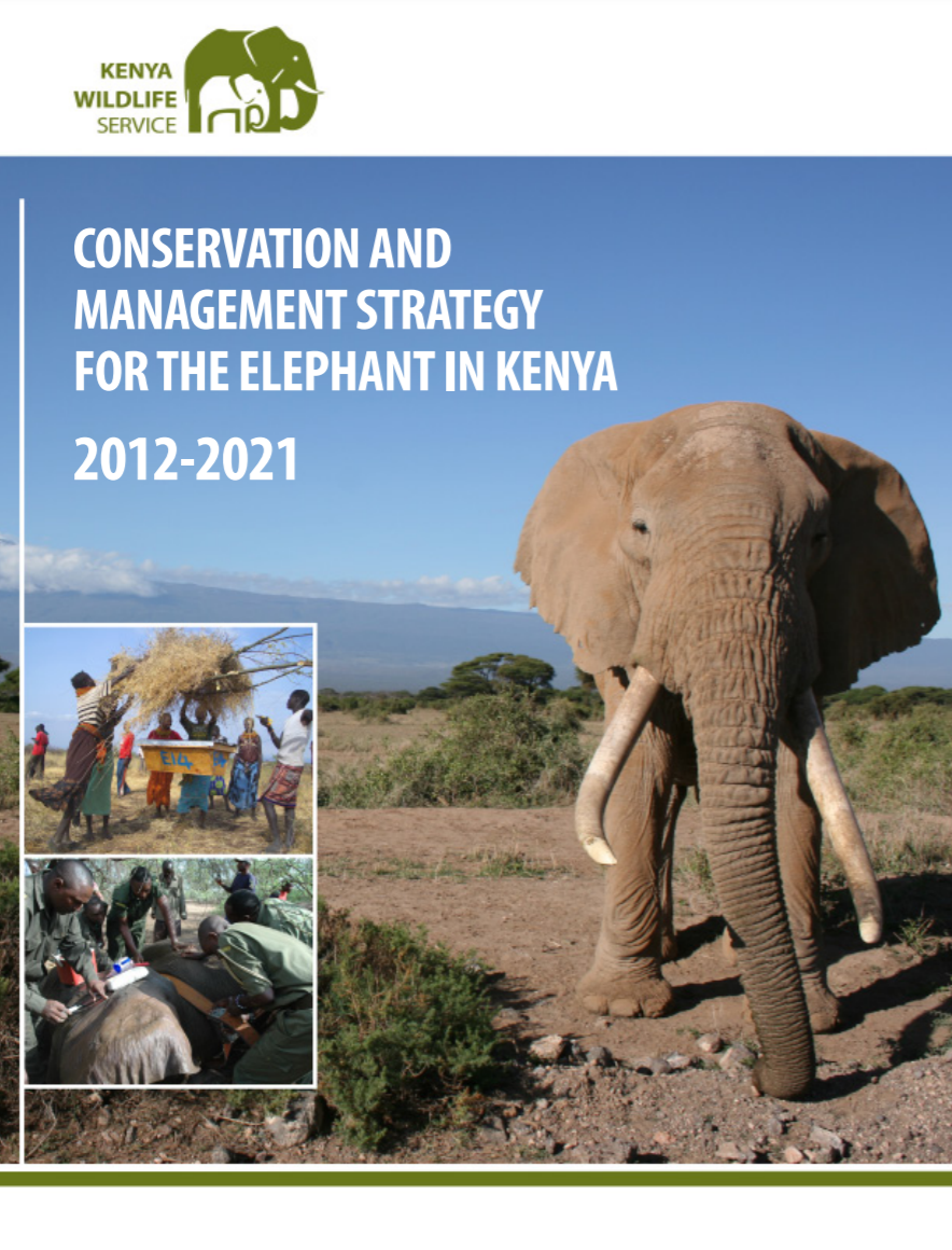 Elephant Conservation Kenya