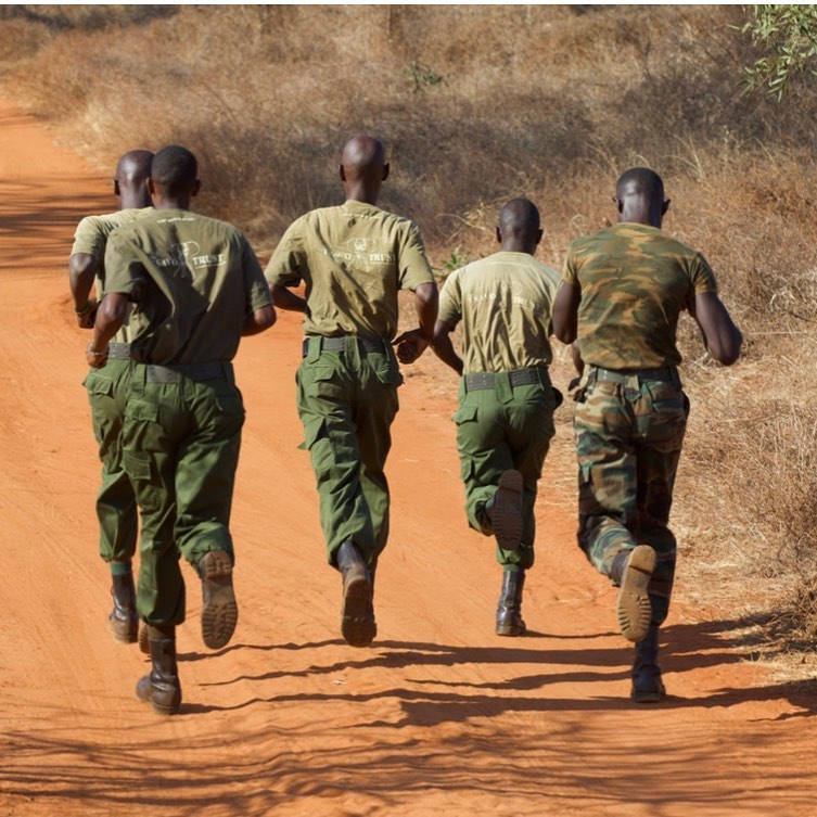 Wildliferangerchallenge