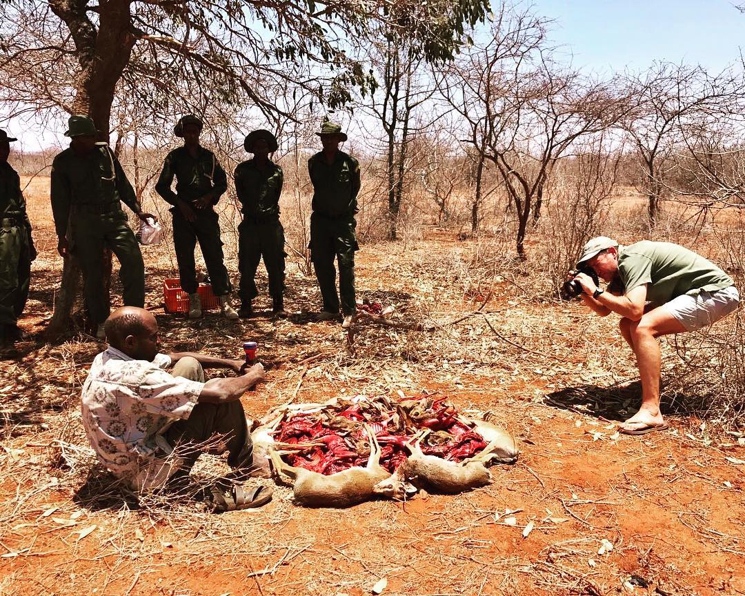 Wildlife Poaching Kenya