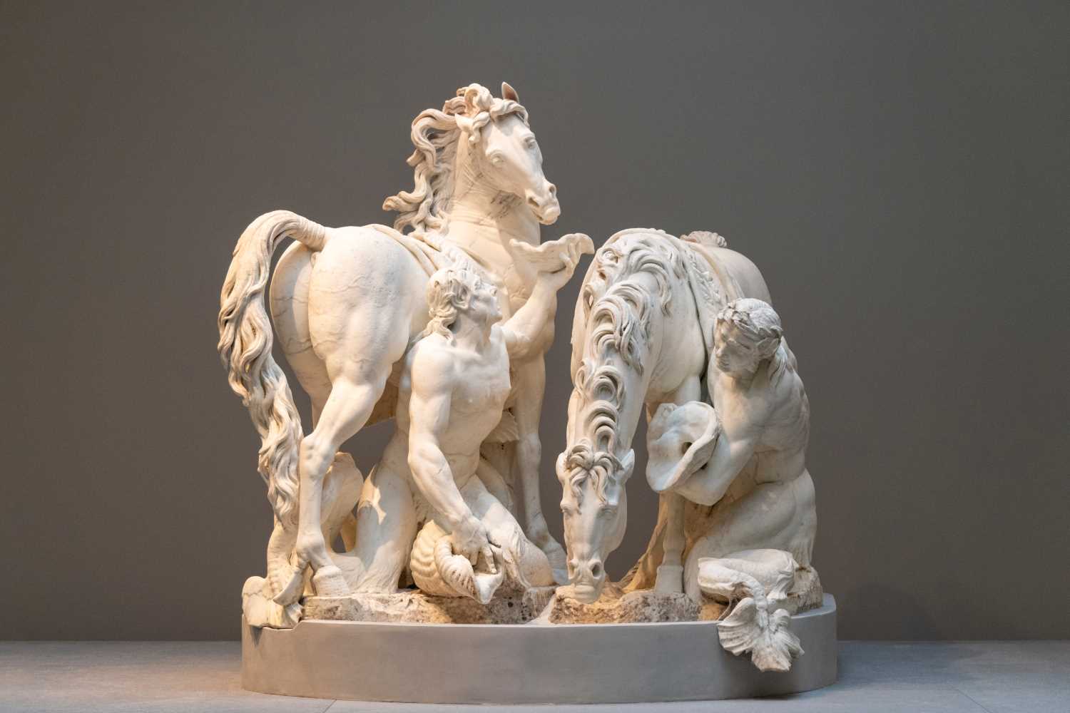 Ivory Trade Affecting Elephant Populations