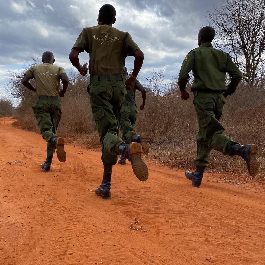 Wildliferangerchallenge2