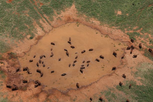 Elephant Conservation Waterhole Resize
