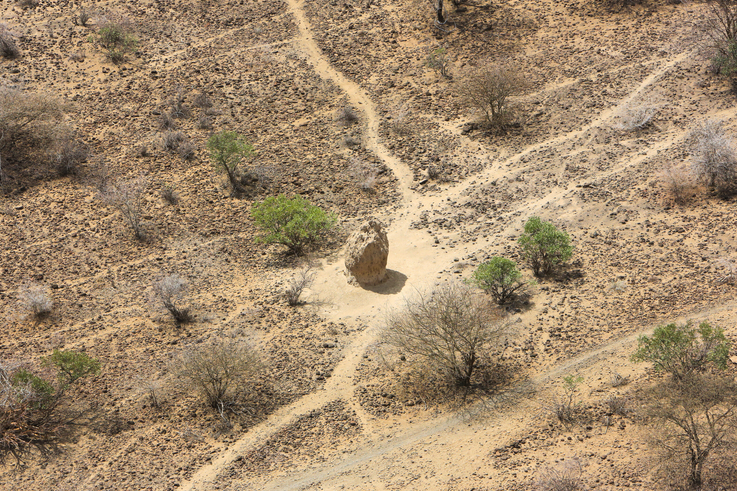 Aerial View Of A Termite Mound In The Great Rift Valley In Kenya. The Great Rift Valley Is Part Of An Intra Continental Ridge System That Runs Through Kenya From North To South.