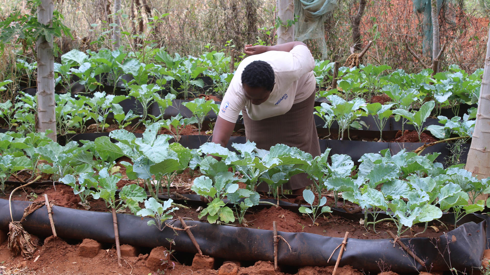 20250616 How Conservation Is Transforming Livelihoods In Tsavo Photo 3