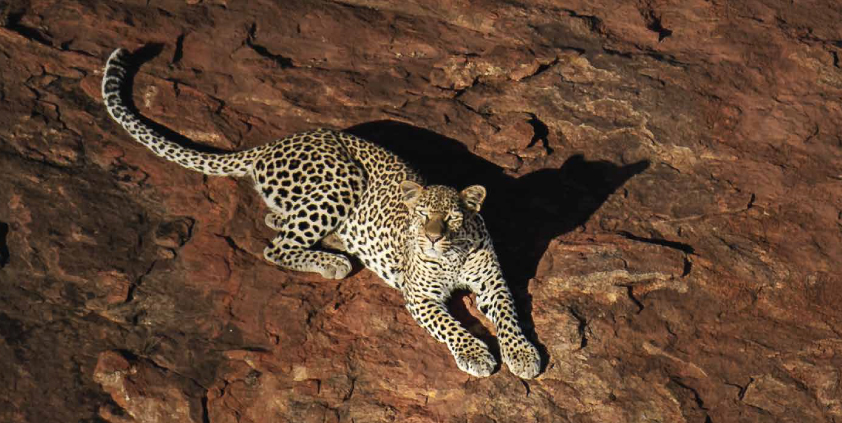 Tsavo Trust 2024 Annual Report