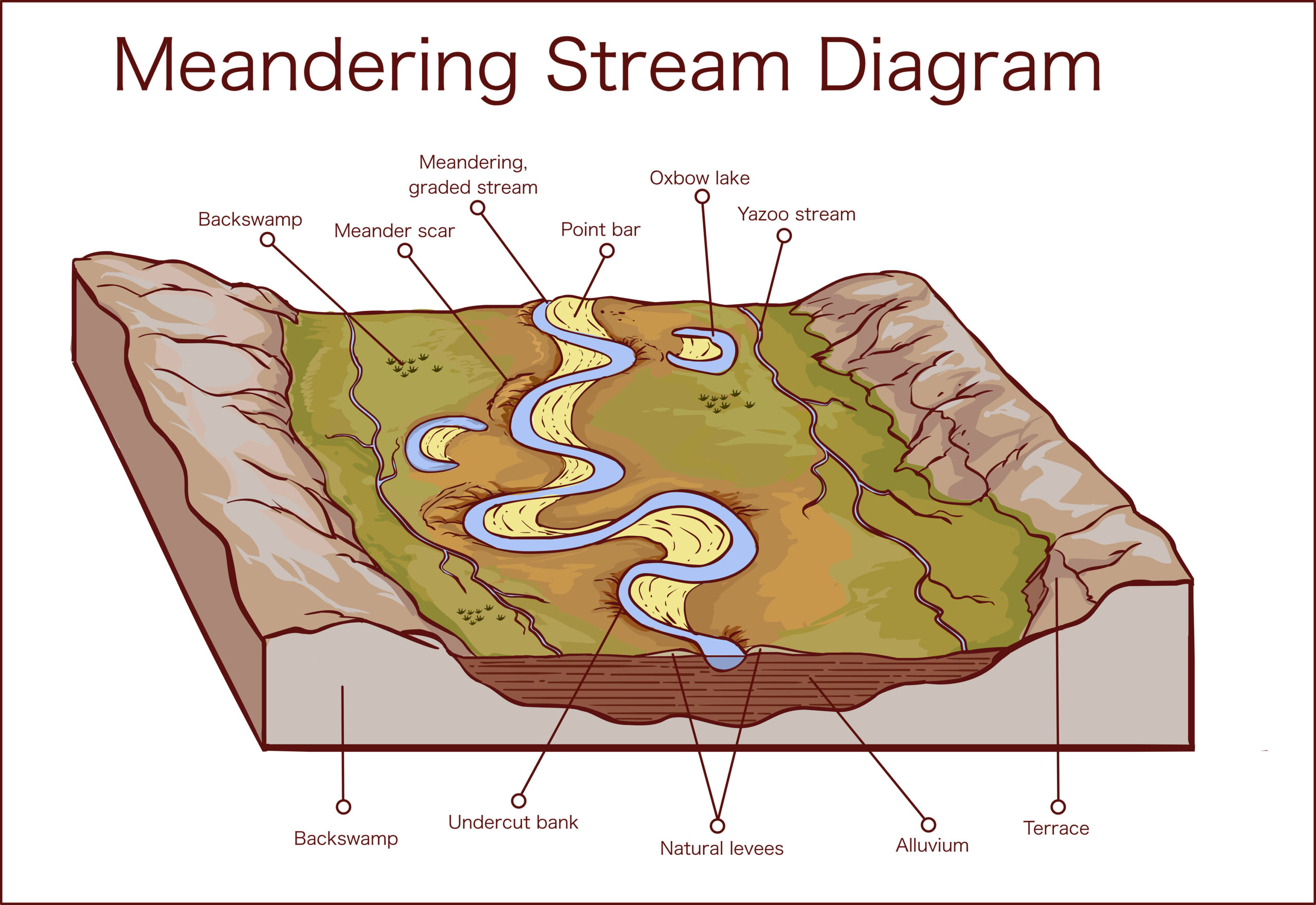 Vector Illustration Of A Meandering Stream