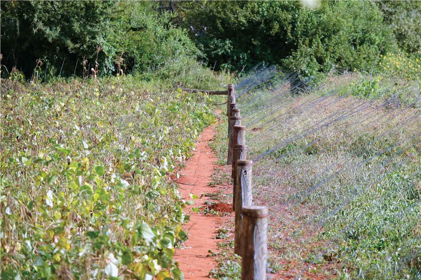10 Fence 03