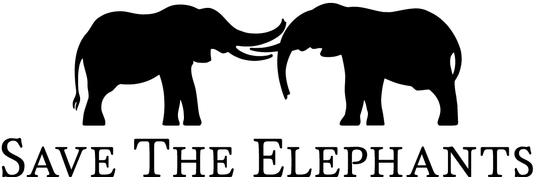 STE Black Logo